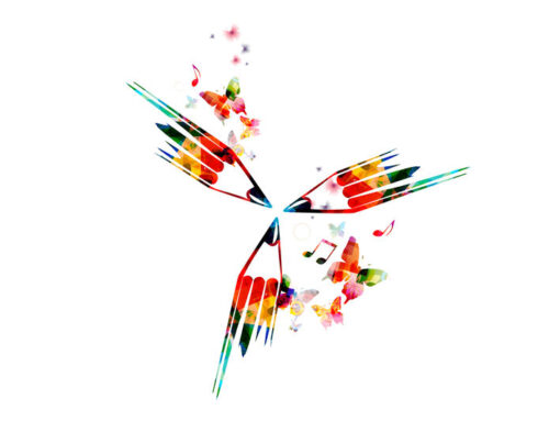 Tegen de begroting 2025